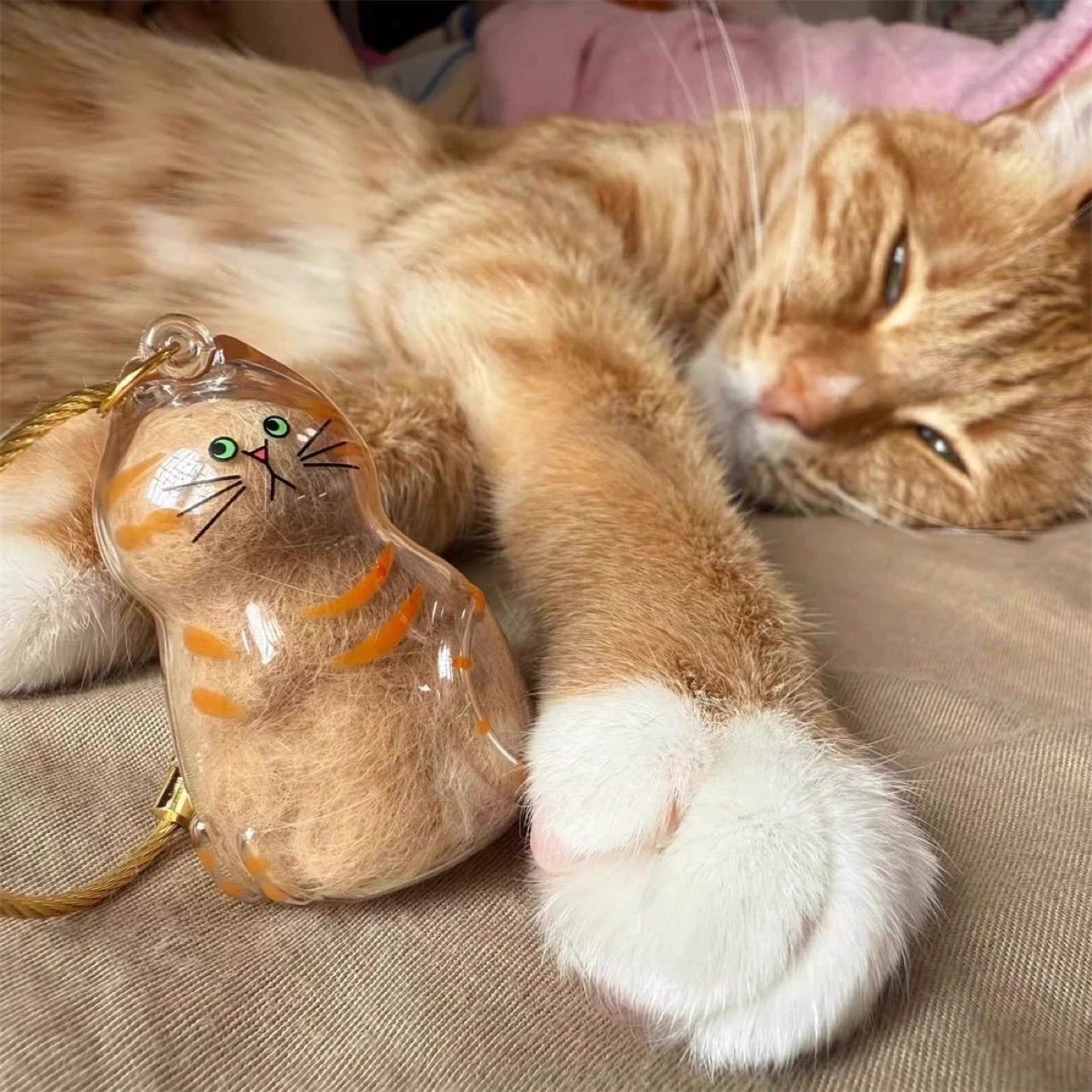 💥 Buy 1 Get 1 Free — Transparent Pet Storage Capsule Keychains 🐶 & 🐱