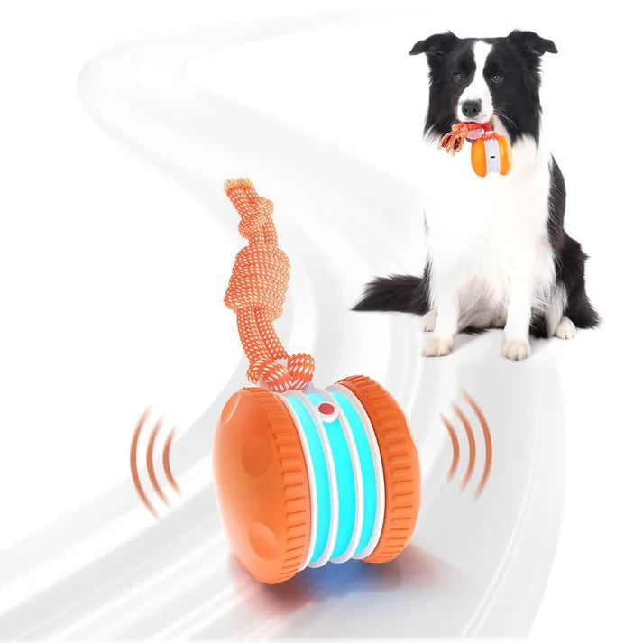 🐶 Keep Your Pet Relaxed, Happy & Content 🐾