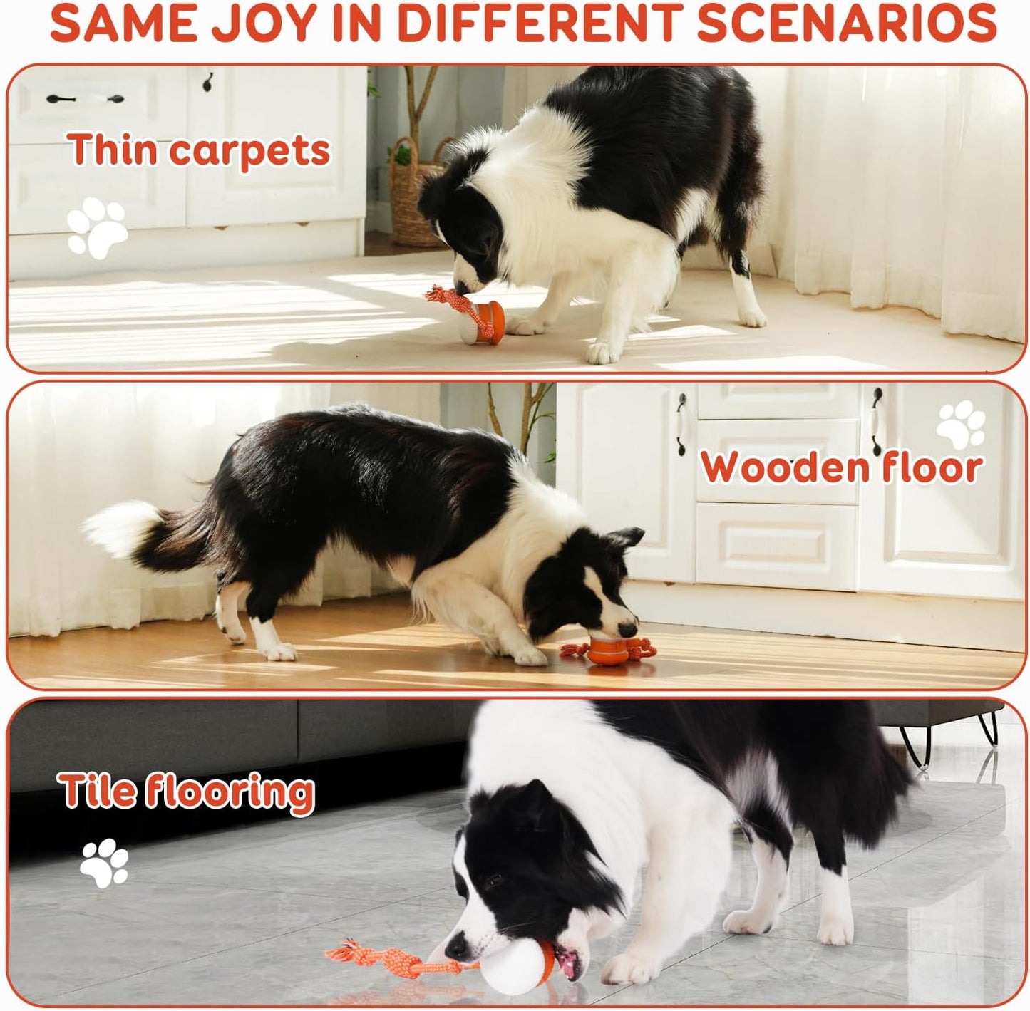 🐶 Keep Your Pet Relaxed, Happy & Content 🐾