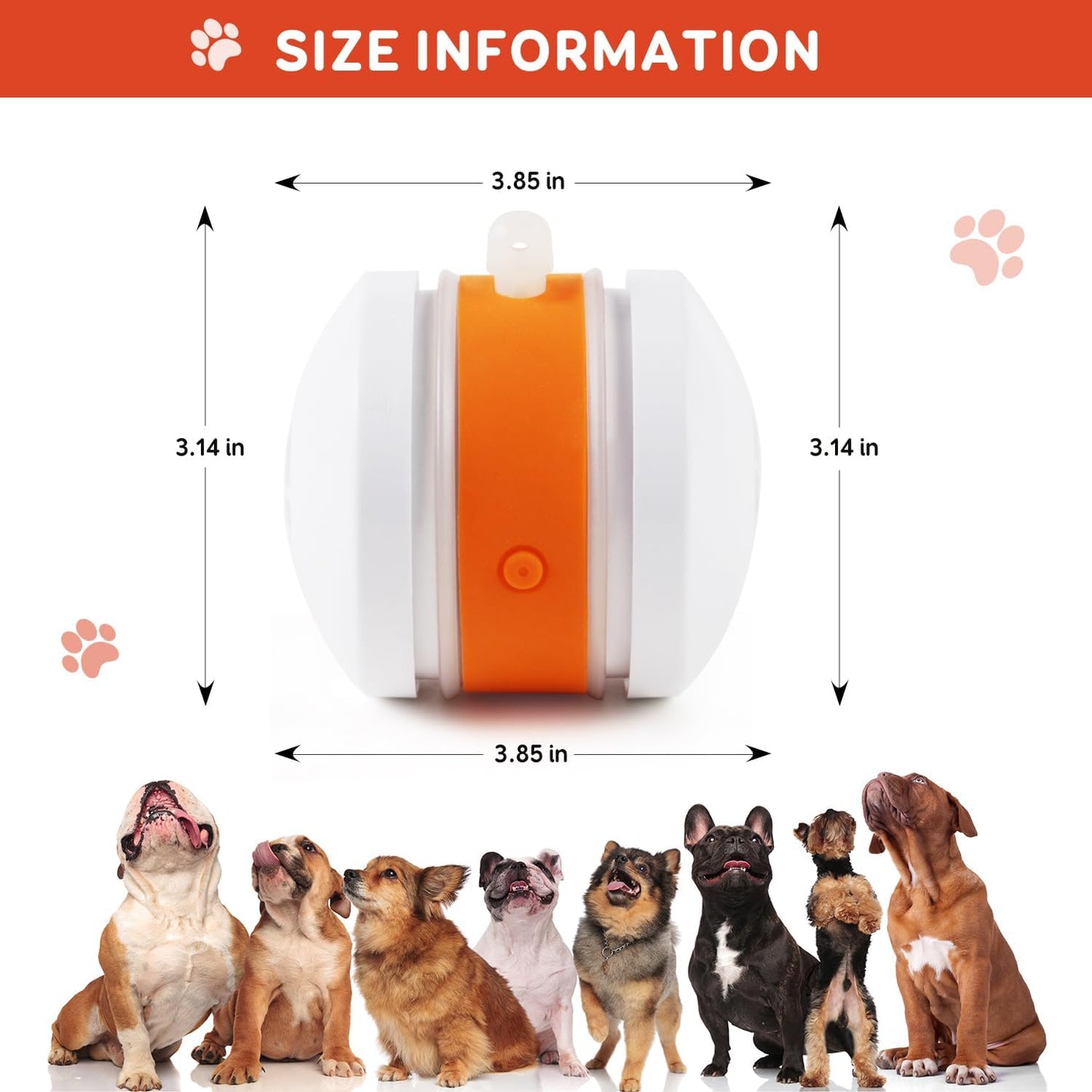 🐶 Keep Your Pet Relaxed, Happy & Content 🐾