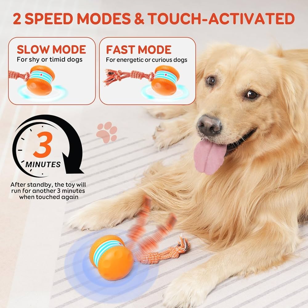🐶 Keep Your Pet Relaxed, Happy & Content 🐾
