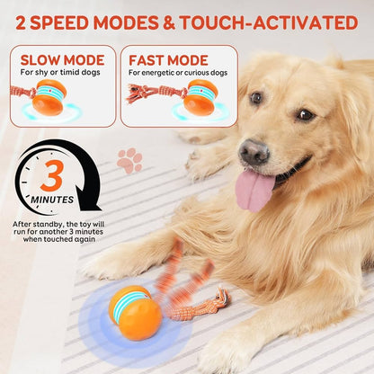 🐶 Keep Your Pet Relaxed, Happy & Content 🐾