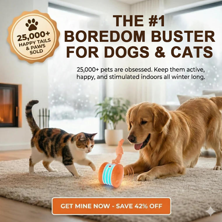 🐶 Keep Your Pet Relaxed, Happy & Content 🐾