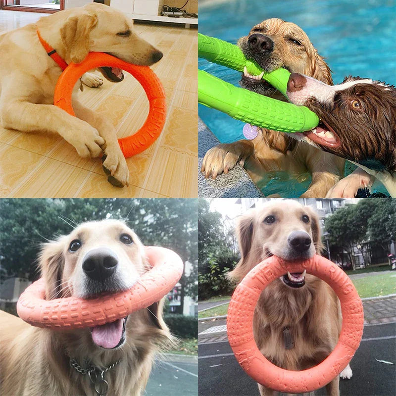 Dog Training Ring Puller Toy