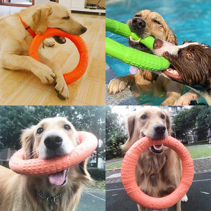 Dog Training Ring Puller Toy