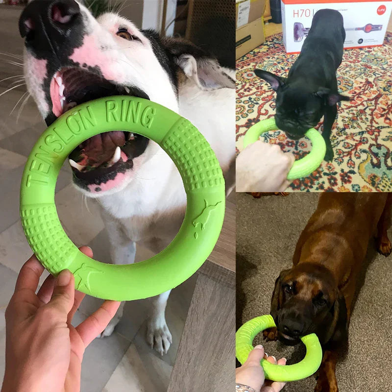 Dog Training Ring Puller Toy