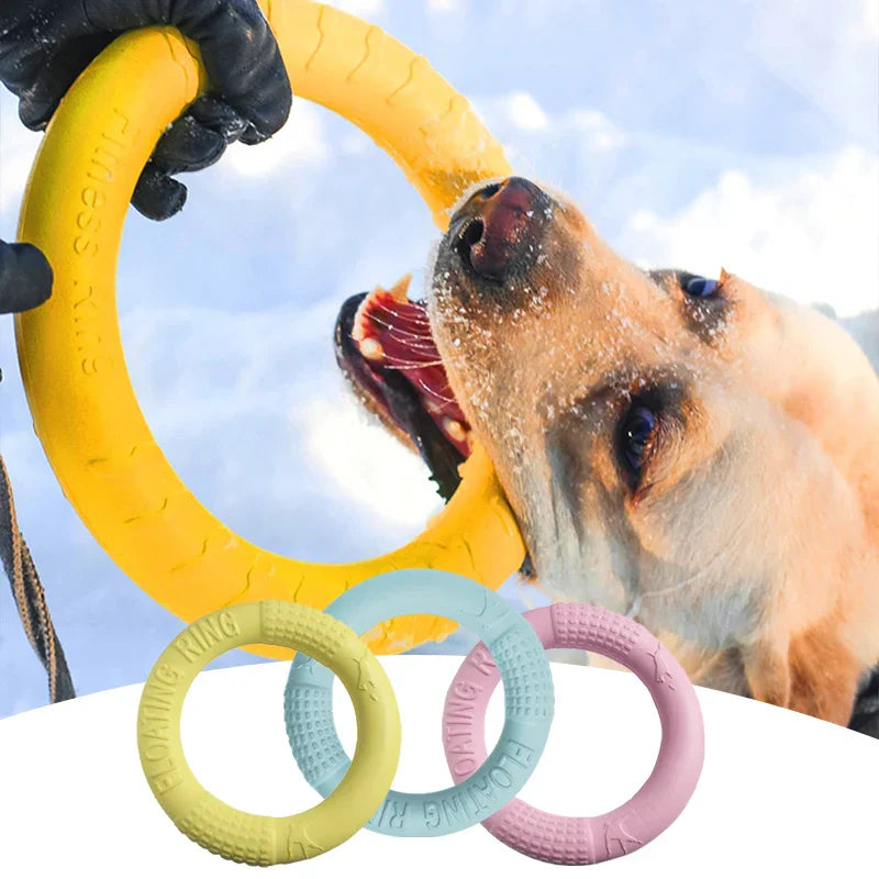 Dog Training Ring Puller Toy