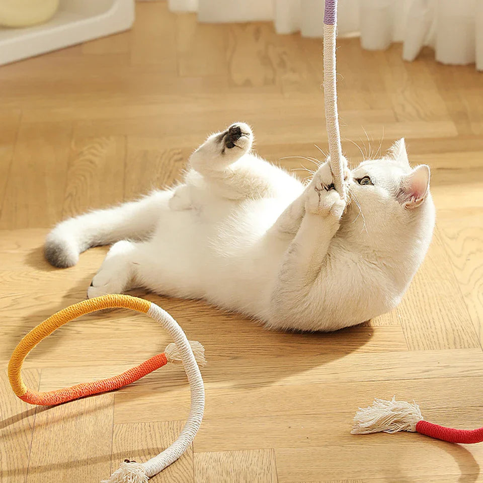 Cat Teasing Rope Toy – Bite Resistant