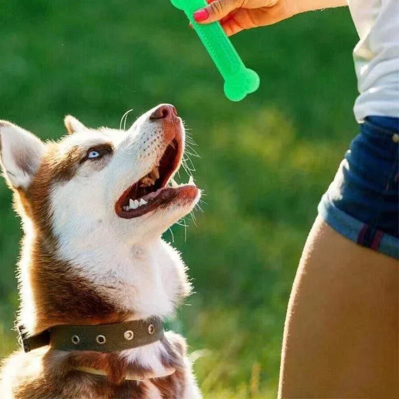 Durable Rubber Bone Chew Toy for Dogs